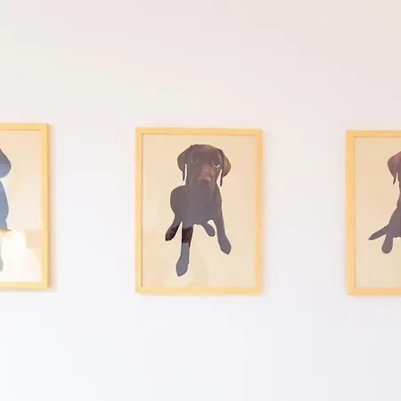La Casa Di Ava, Chia E Luna *
